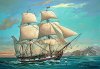 Navio HMS Beagle REVELL ALEMA - cod. 3902
