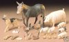 Livestock set - Animais TAMIYA - cod. 4416