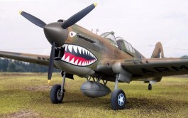 Aviao Curtiss P-40 E/K KittyHawk                        2795 ITALERI